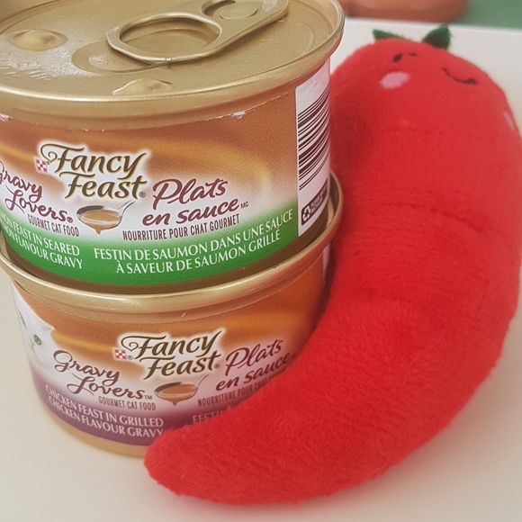 🌶️ Red Hot Chili Pepper Kitty Toy - Picture 2 of 4